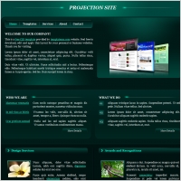  projection