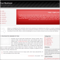 Red Business Template