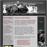 salt pepper