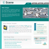  scene