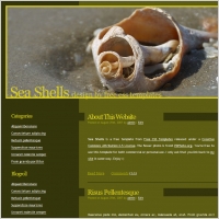 sea shells