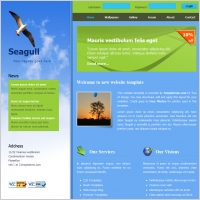  seagull