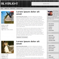 Silverlight Template