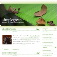 simple green