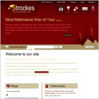 Strockes Template