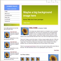 Summer Fields Template