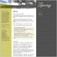 The Spring Template