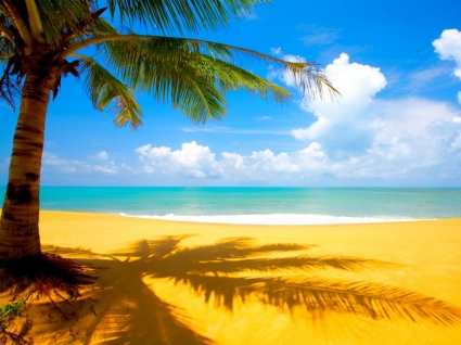 Beach Wallpaper on At The Beach Wallpaper Beaches Nature Nature   Wallpapers For Free