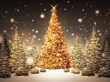Free Wallpaper on Wallpaper Christmas Holidays Holidays   Wallpapers For Free Download