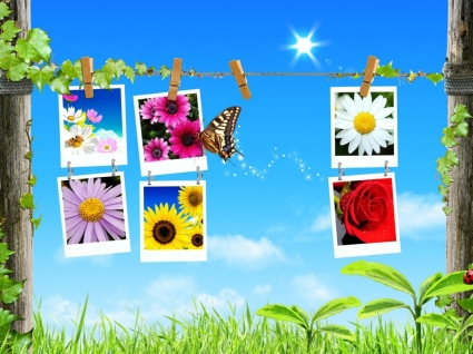 Nature Wallpaper on Spring Collage Wallpaper Spring Nature Nature   Wallpapers For Free