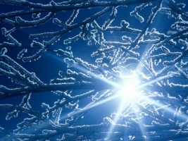Awaiting the Spring Thaw Wallpaper Winter Nature