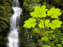 Boulder River Falls Wallpaper Rivers Nature