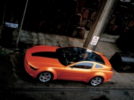 Ford Mustang Giugiaro Wallpaper Ford Cars