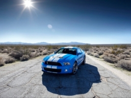 Ford Shelby GT500 Wallpaper Ford Cars