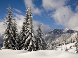 Fresh Snow Over Denny Mountain Wallpaper Winter Nature