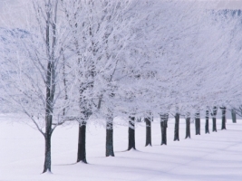 Glimmerglass State Park Wallpaper Winter Nature