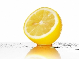Lemon Wallpaper Miscellaneous Other
