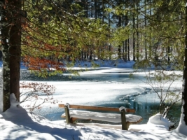 Park in the winter Wallpaper Winter Nature