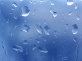 Raindrops Wallpaper Miscellaneous Other