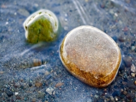 Sea rocks Wallpaper Other Nature