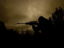 Shooter Wallpaper Miscellaneous Other