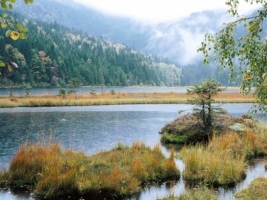 Small Arber Lake Wallpaper Germany World