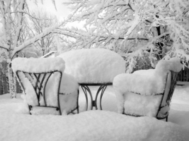 Snow Reception Wallpaper Winter Nature