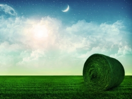 Sogno Wallpaper Photo Manipulated Nature