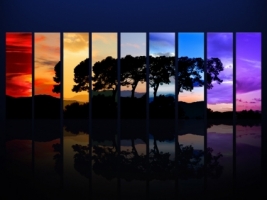 Spectrum of a Tree Wallpaper Photo Manipulated Nature