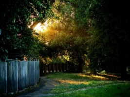 Spot of Light Wallpaper Landscape Nature
