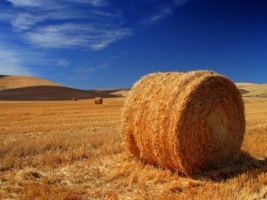 The Palouse Wallpaper Landscape Nature