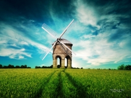 The Whisper of Wind Wallpaper Photo Manipulated Nature