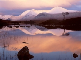 Western Highlands Wallpaper Landscape Nature