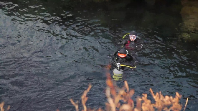 Mp4 Video Fire Free Free Footage For Free Download About 4