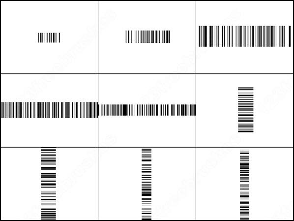 10 barcodes brush