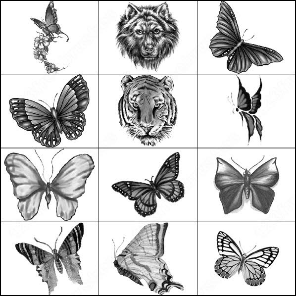 download brush tattoo photoshop cs6