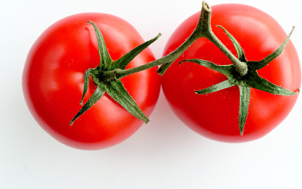 2453651 tomatoes 