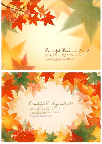 2 maple leaf background vector