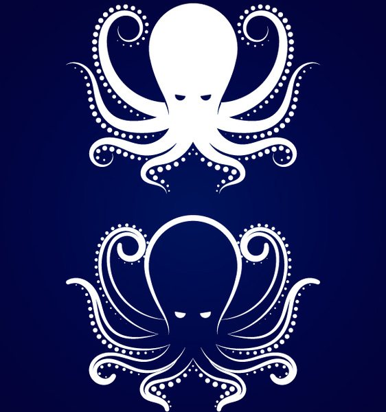 2 octopus creative design vector