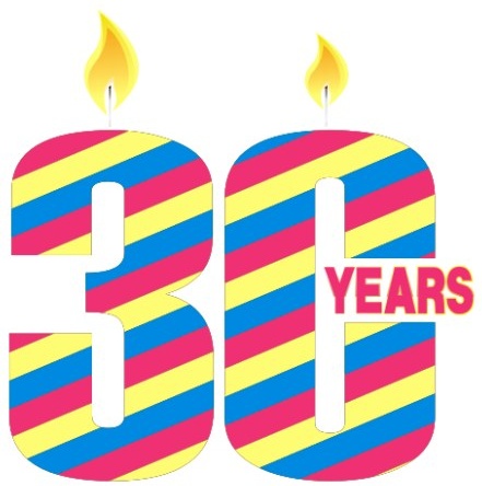 30th anniversary celebration vector design