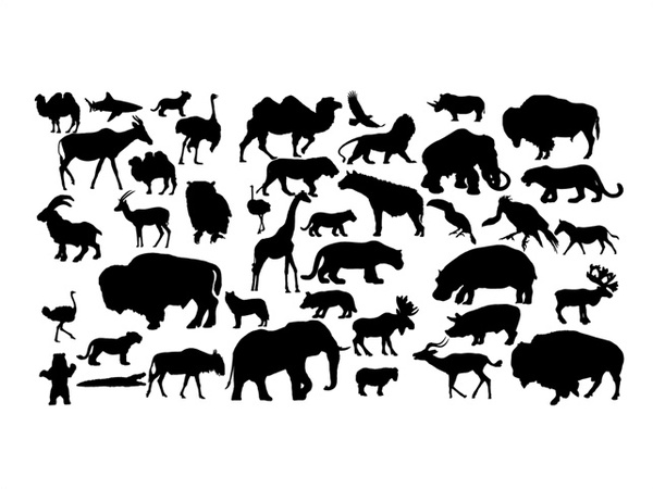Animal Line Drawings Svg - 1737+ SVG PNG EPS DXF in Zip File - Download
