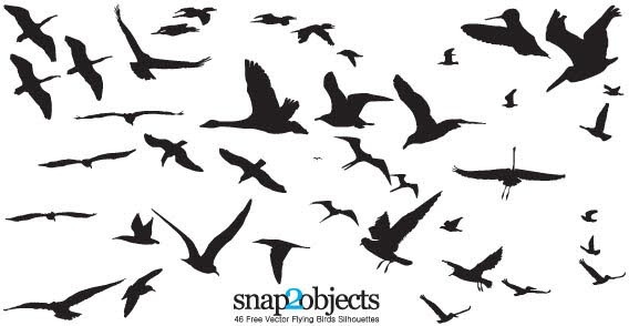 Download 46 Free vector flying birds silhouettes Free vector in Open office drawing svg ( .svg ) vector ...