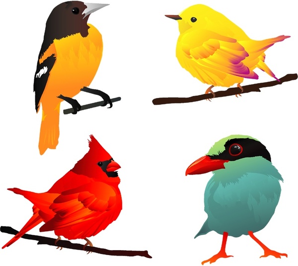 4 beautiful birds