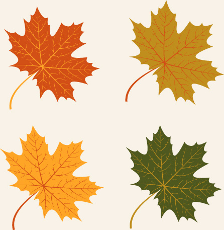 4 kind autumn leaves vector