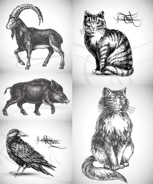5 handpainted animals vector