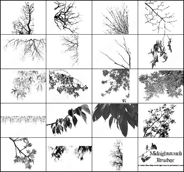 60 photoshop 7 tree branches brush
