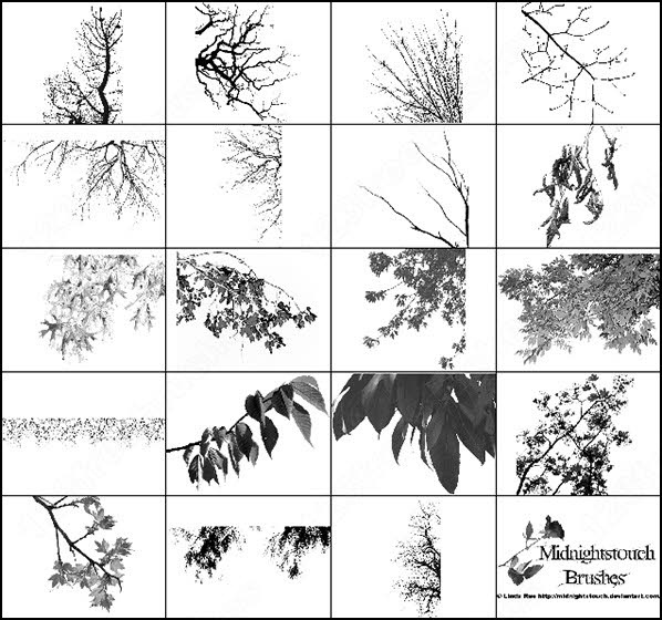 tree plan photoshop brushes