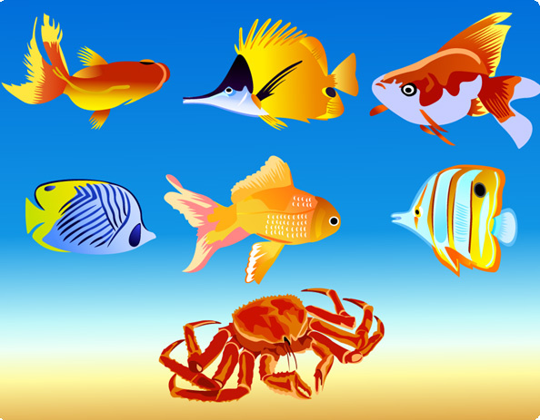 7 vector fish graphics