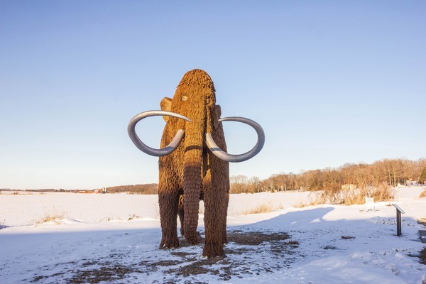 a big mammoth at horicon national wildlife reserve wisconsin 