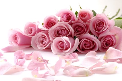 a bouquet of pink roses picture 